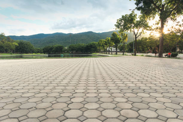 Best Decorative Driveway Pavers  in Foster City, CA